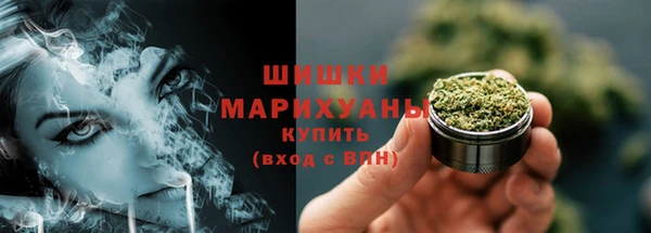 бутират Мегион