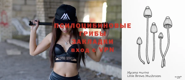 тгк Медногорск