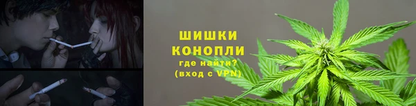 бутират Мегион
